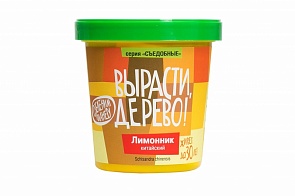 Набор для выращивания растений - Лимонник китайский (Зеленый Капитал, zk-025)